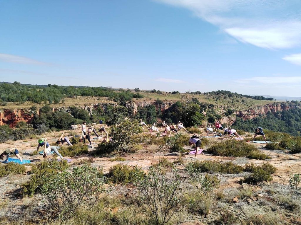 Outdoor yoga at festival